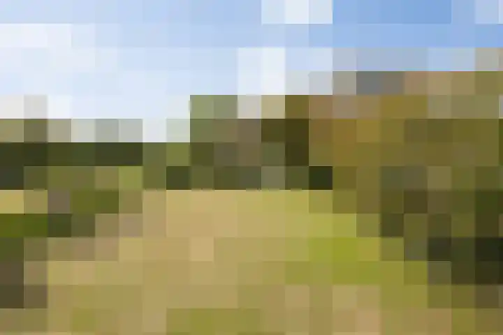 Senecalaan 25 's-Hertogenbosch thumbnail 47