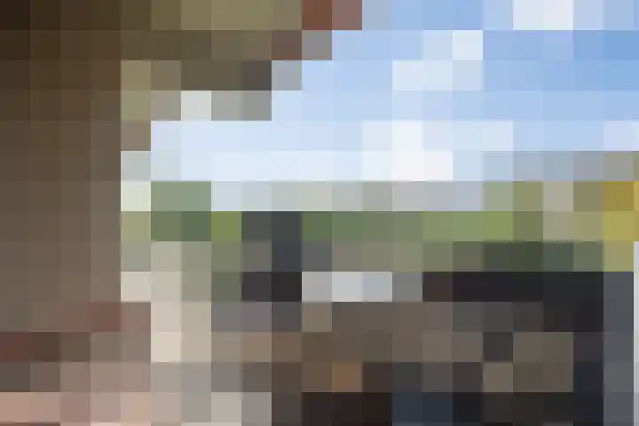 Senecalaan 25 's-Hertogenbosch thumbnail 5