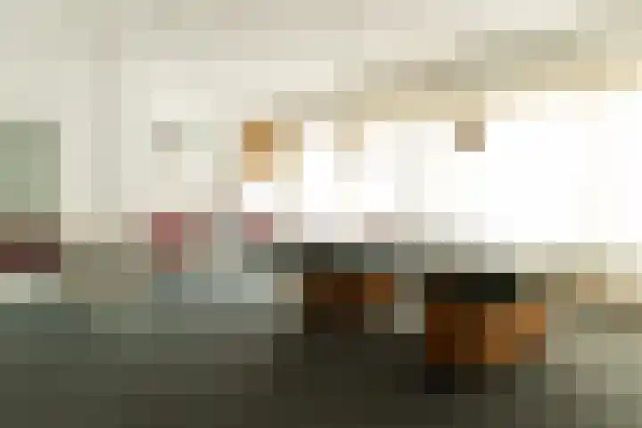 Senecalaan 25 's-Hertogenbosch thumbnail 50