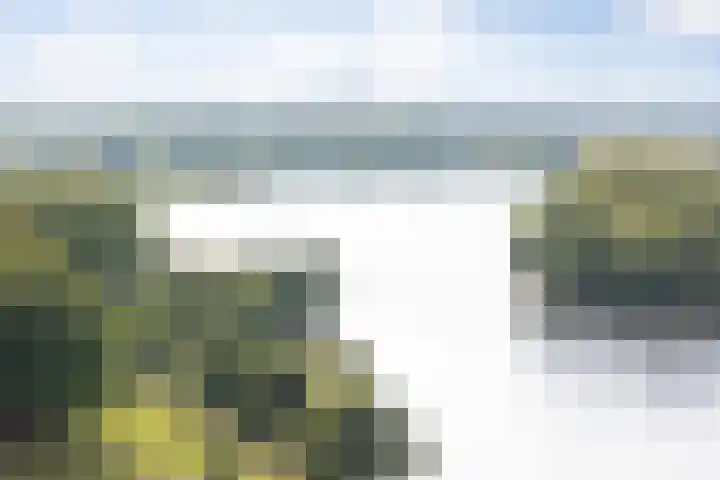Senecalaan 25 's-Hertogenbosch thumbnail 53