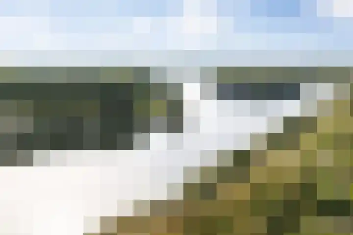 Senecalaan 25 's-Hertogenbosch thumbnail 54