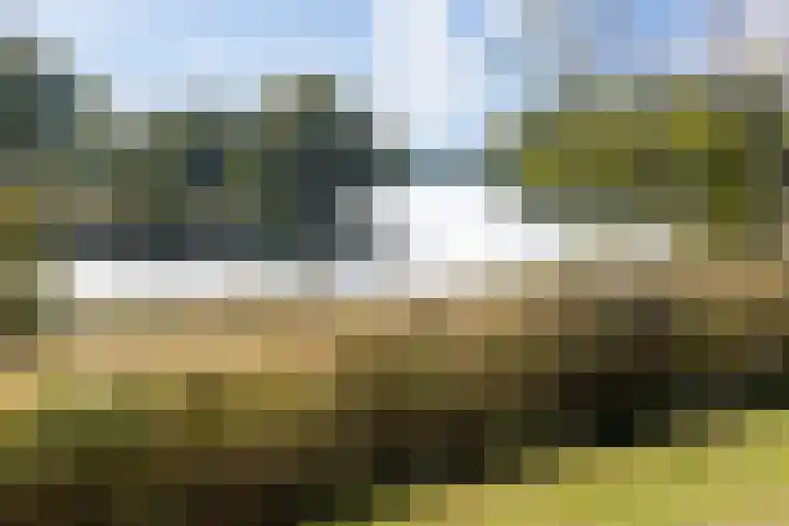 Senecalaan 25 's-Hertogenbosch thumbnail 55