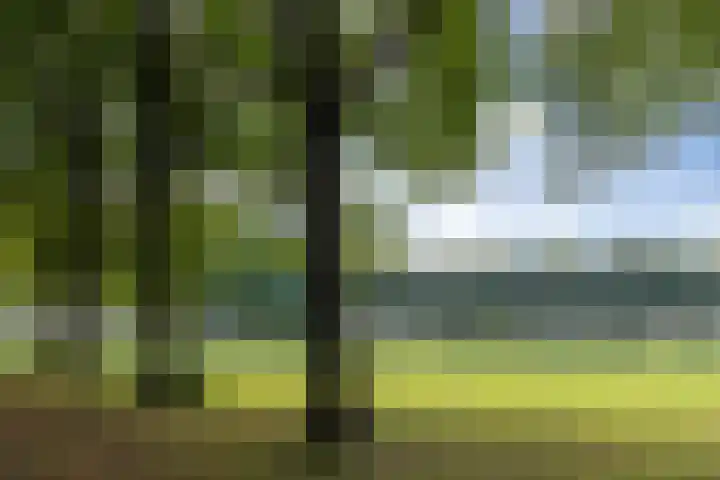 Senecalaan 25 's-Hertogenbosch thumbnail 57