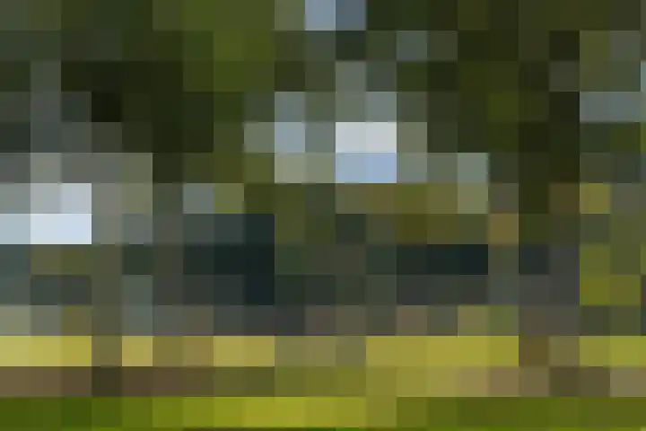 Senecalaan 25 's-Hertogenbosch thumbnail 58