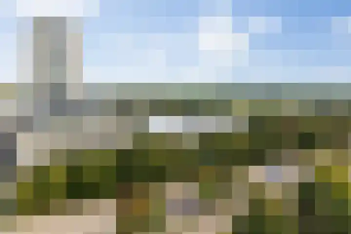 Senecalaan 25 's-Hertogenbosch thumbnail 60
