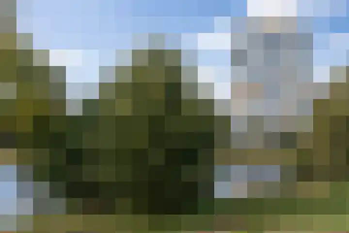 Senecalaan 25 's-Hertogenbosch thumbnail 8