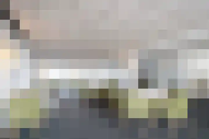 Senecalaan 52 's-Hertogenbosch thumbnail 29