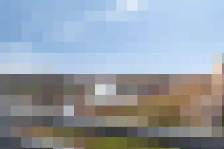 Senecalaan 65 's-Hertogenbosch thumbnail 16