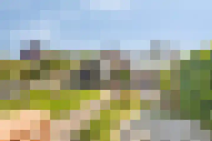 Senneroog 12 Groningen thumbnail 11