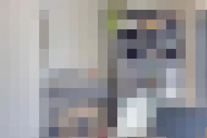 Senneroog 12 Groningen thumbnail 18