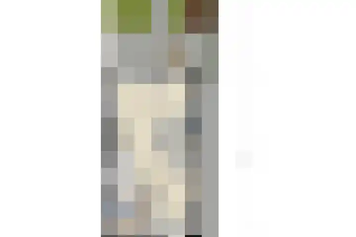 Senneroog 12 Groningen thumbnail 28