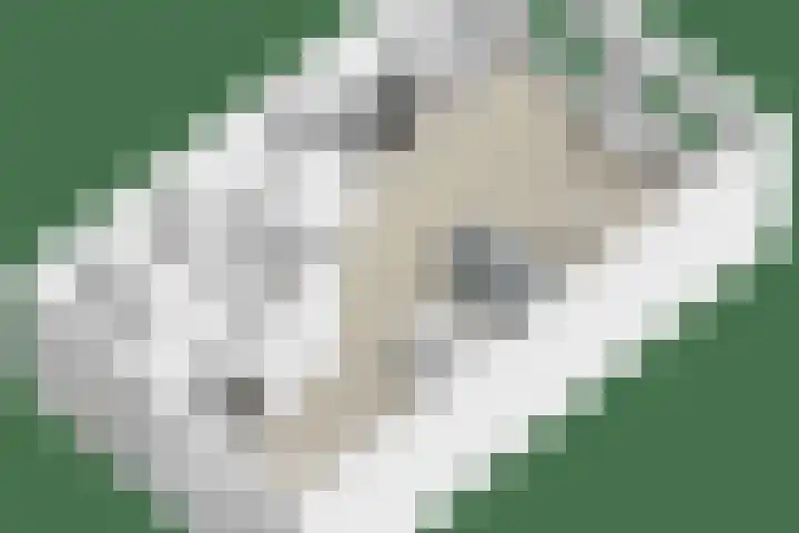 Senneroog 12 Groningen thumbnail 32