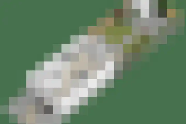 Senneroog 12 Groningen thumbnail 33