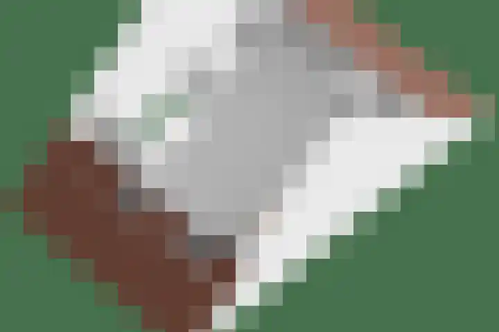 Senneroog 12 Groningen thumbnail 35