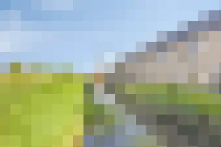 Senneroog 12 Groningen thumbnail 4