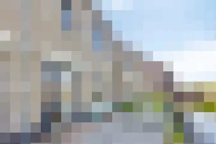 Senneroog 12 Groningen thumbnail 7