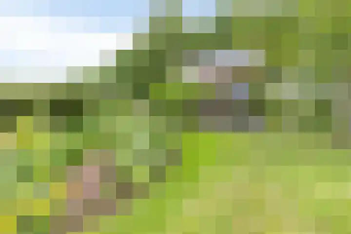 Senneroog 12 Groningen thumbnail 8