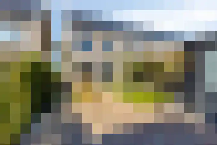 Senneroog 12 Groningen thumbnail 8