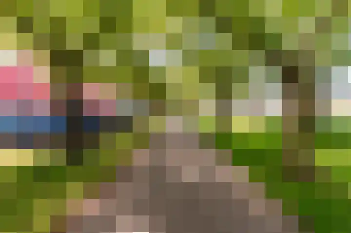 Sepiastraat 44 Almere thumbnail 36