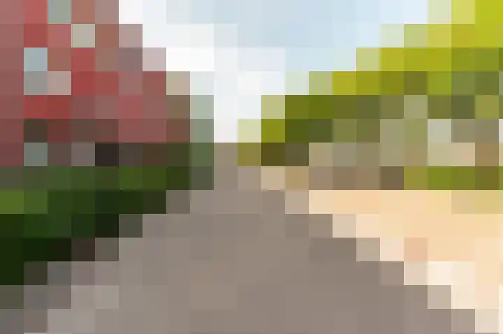 Sepiastraat 44 Almere thumbnail 38