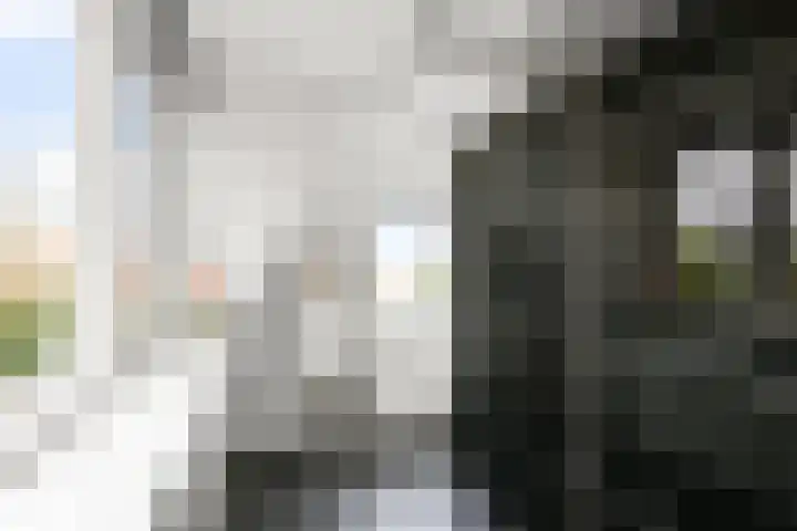 Seramstraat 1 Wormerveer thumbnail 22