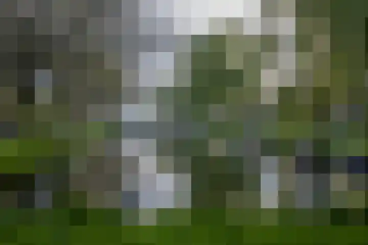Seramstraat 1 Wormerveer thumbnail 44