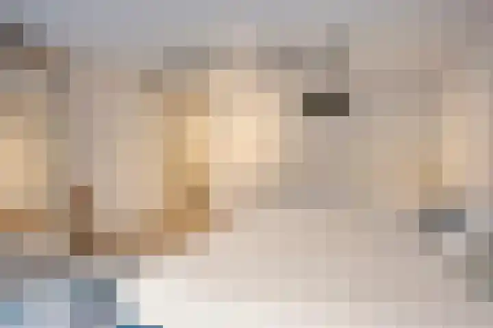 Serenade 3 Zaandam thumbnail 31