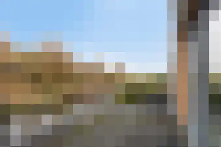 Serenade 3 Zaandam thumbnail 32