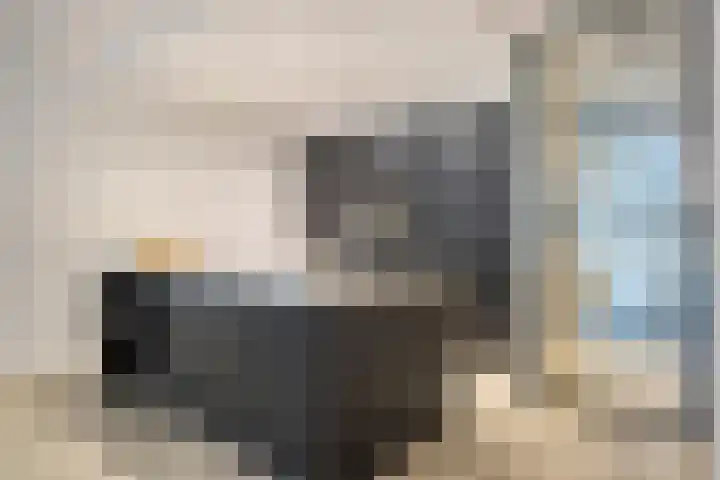 Serenade 3 Zaandam thumbnail 5