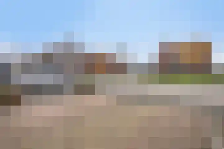 Serenade 3 Zaandam thumbnail 9