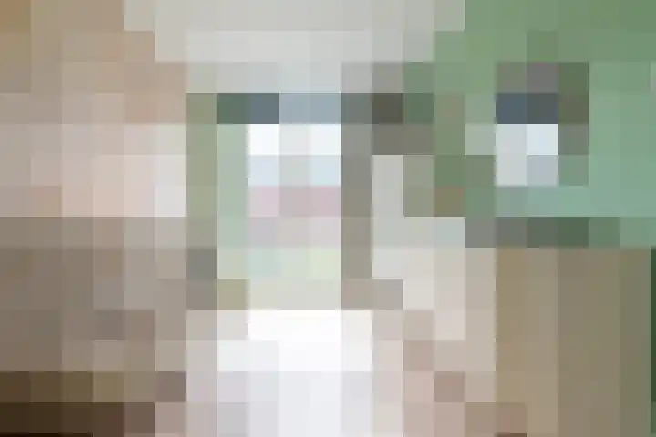 Sergeant 31 Gorinchem thumbnail 16