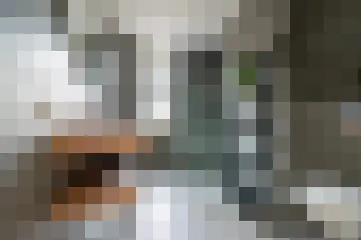 Sergeant 31 Gorinchem thumbnail 19