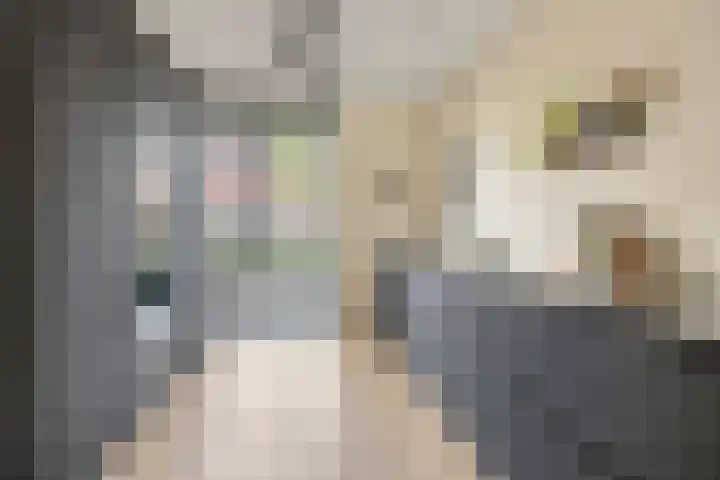 Sergeant 42 Gorinchem thumbnail 10