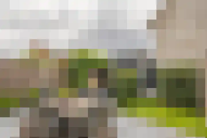 Sergeant 42 Gorinchem thumbnail 12