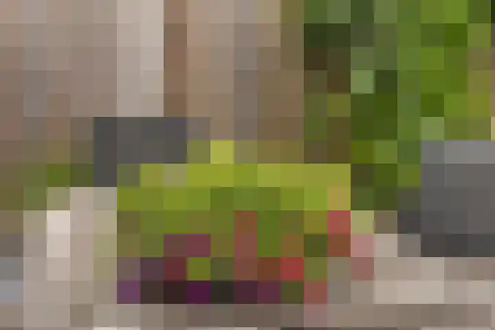 Sergeant 42 Gorinchem thumbnail 13