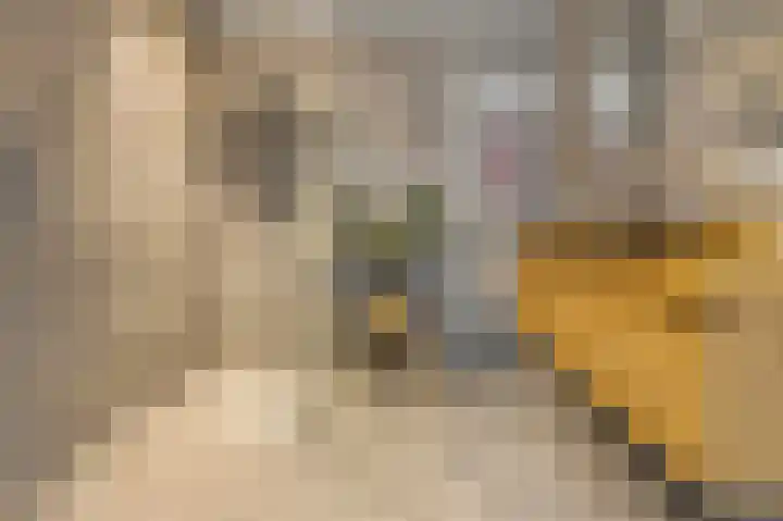 Sergeant 42 Gorinchem thumbnail 19