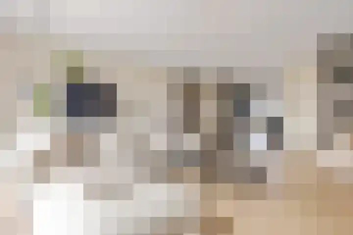 Sergeant 42 Gorinchem foto 2