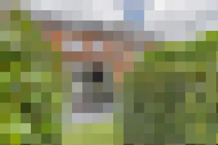 Sergeant 42 Gorinchem thumbnail 4