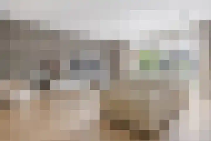 Sergeant 42 Gorinchem thumbnail 7