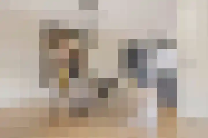 Sergeant 42 Gorinchem thumbnail 9