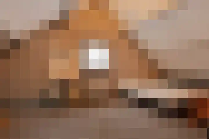 Sergeant Brownstraat 4 Oss thumbnail 20