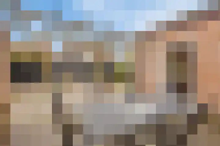 Sergeant Brownstraat 4 Oss thumbnail 24