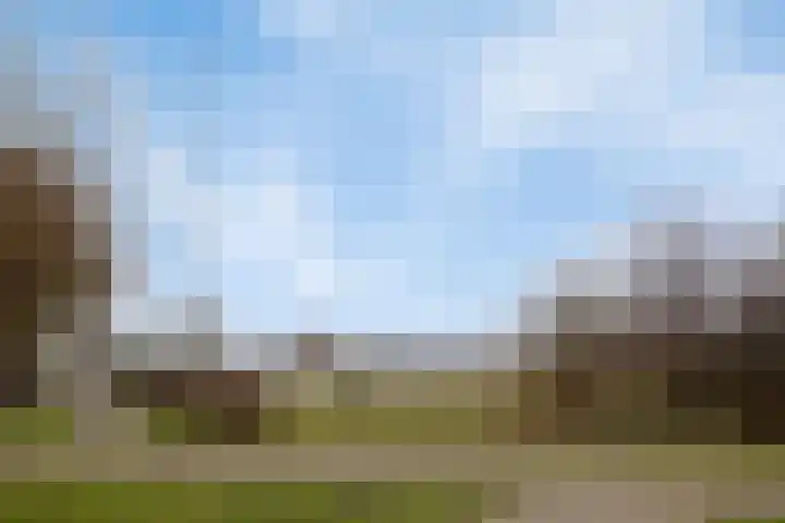 Sergeant Brownstraat 4 Oss thumbnail 33