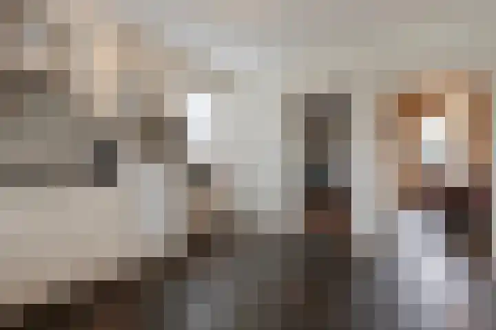 Sergeant Brownstraat 4 Oss thumbnail 6