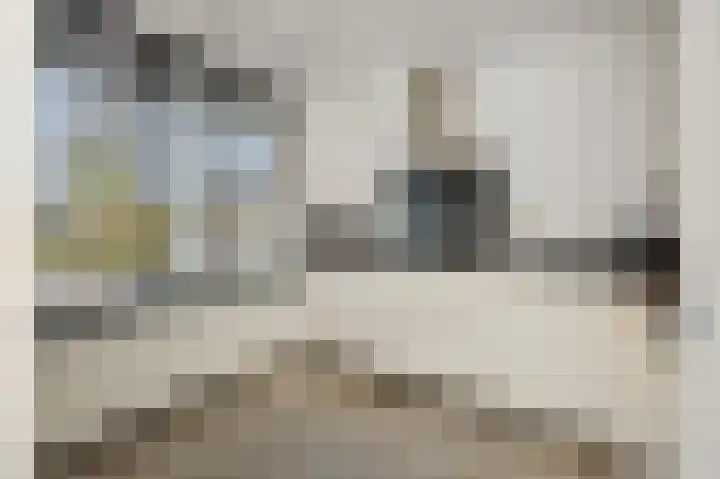 Sergeant Thompsonstraat 12 Heesch thumbnail 10