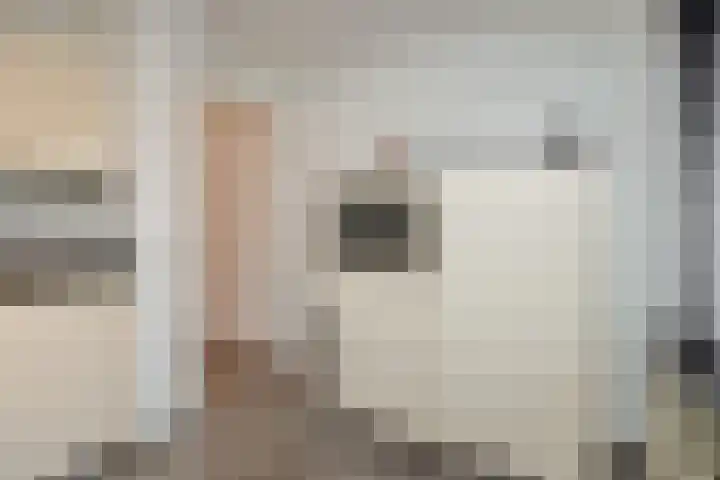 Sergeant Thompsonstraat 12 Heesch thumbnail 12