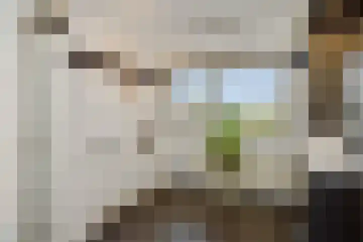Sergeant Thompsonstraat 12 Heesch thumbnail 18