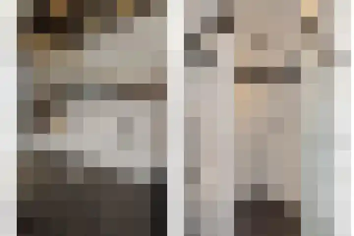 Sergeant Thompsonstraat 12 Heesch thumbnail 20