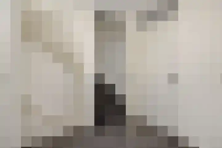 Sergeant Thompsonstraat 12 Heesch thumbnail 21