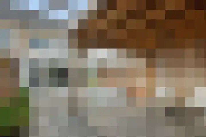 Sergeant Thompsonstraat 12 Heesch thumbnail 25